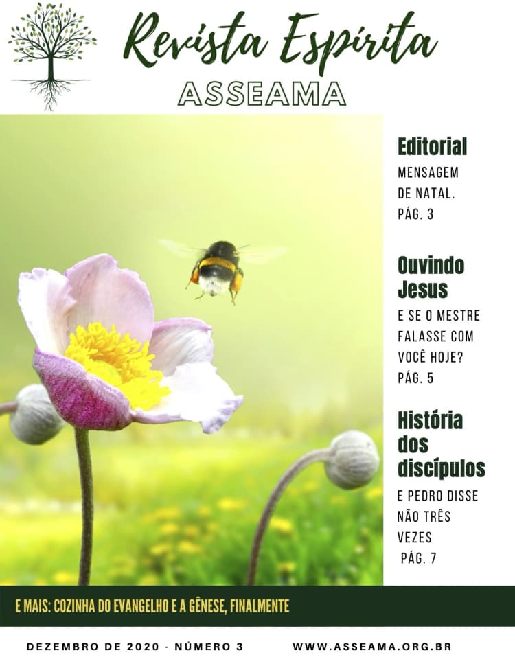 imagem de capa de Revista Espírita Asseama edição 3 (dez/2020)