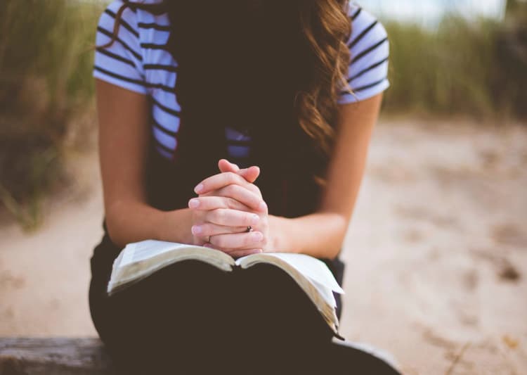 imagem de capa de Contraditores da doutrina