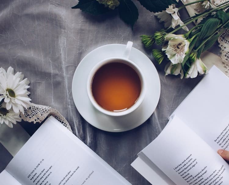 imagem de capa de Aproveitemos cada lição